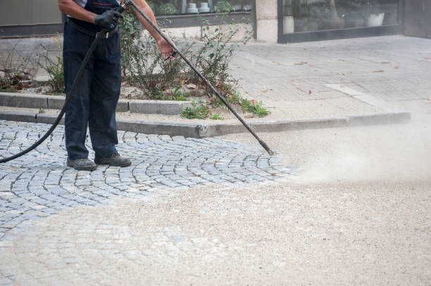 Best Roof Washing  in Quinlan, TX